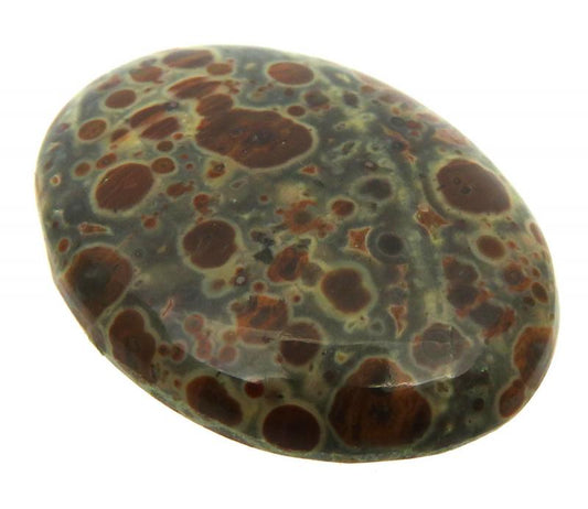 Oval 34x26mm Asteroid Jasper Cabochon 22