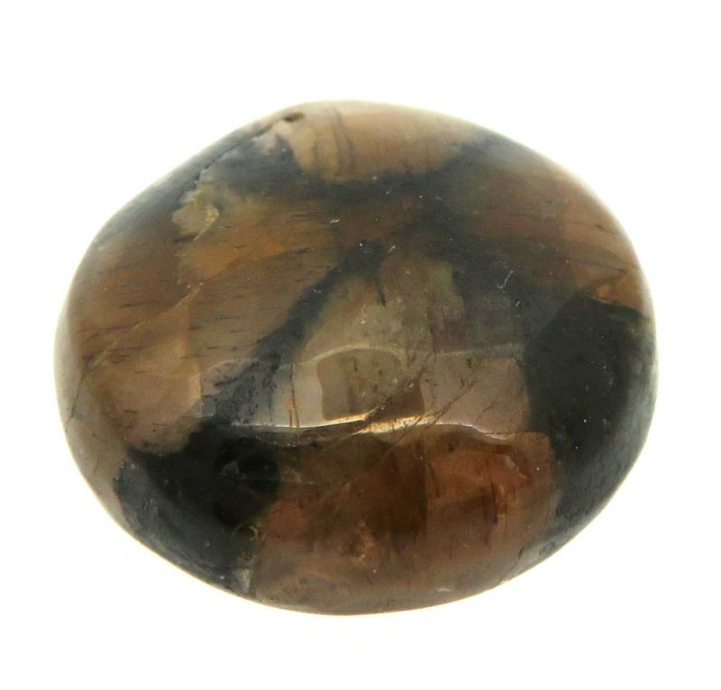 Round 20x20mm Chiastolite Cabochon 07