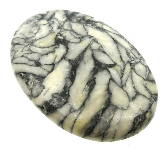 Oval 49x33mm Pinolith Cabochon 03