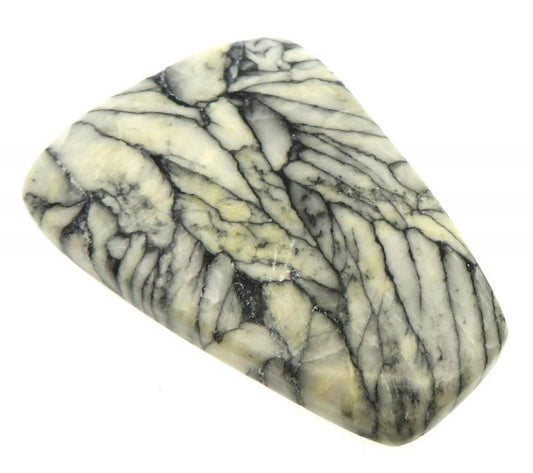 Freeform 46x32mm Pinolith Cabochon 07