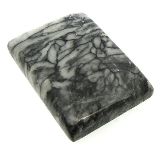 Rectangle 30x20mm Pinolith Cabochon 10