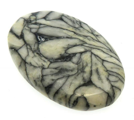 Oval 41x26mm Pinolith Cabochon 24