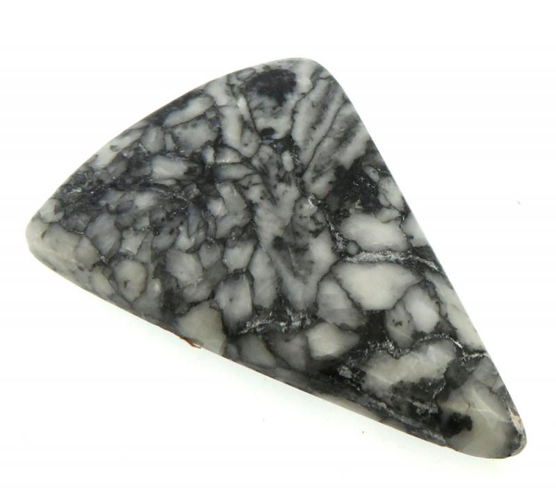 Freeform 41x28mm Pinolith Cabochon 27