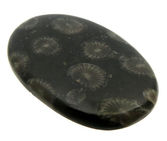 Oval 43x27mm Black Fossil Coral Cabochon 01