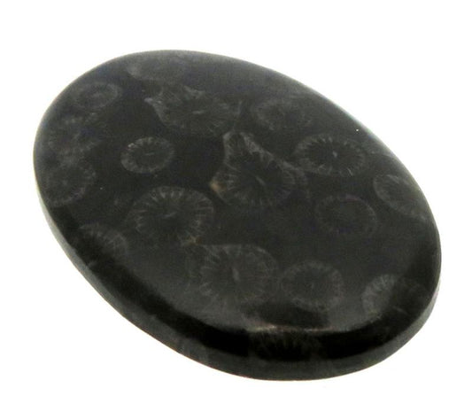 Oval 34x24mm Black Fossil Coral Cabochon 09