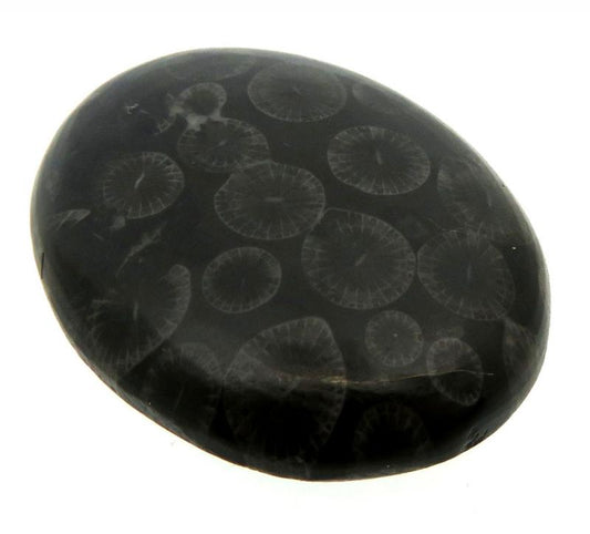 Oval 32x25mm Black Fossil Coral Cabochon 11
