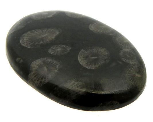Oval 39x25mm Black Fossil Coral Cabochon 18