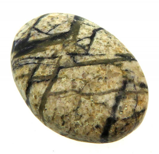 Oval 33x23mm Indian Fluorite Cabochon 22