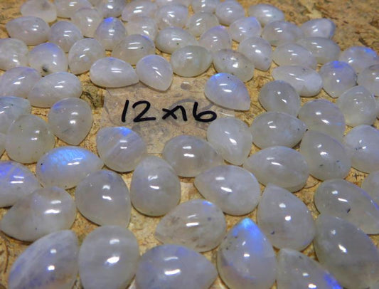 Single Teardrop 16x12mm Rainbow Moonstone Cabochon