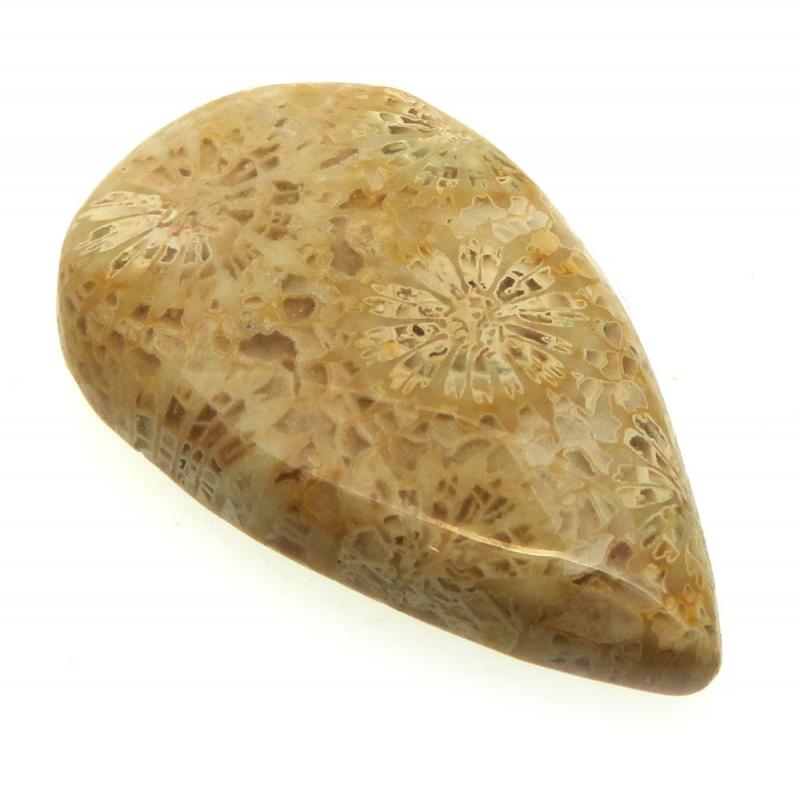 Teardrop 34x20mm Gold Fossil Coral Cabochon 01