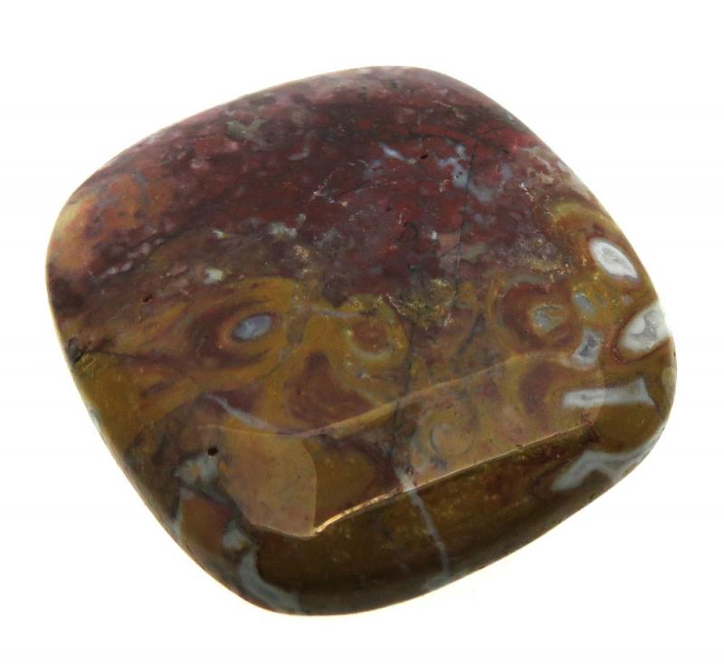 Rectangle 27x25mm Palm Agate Cabochon 05