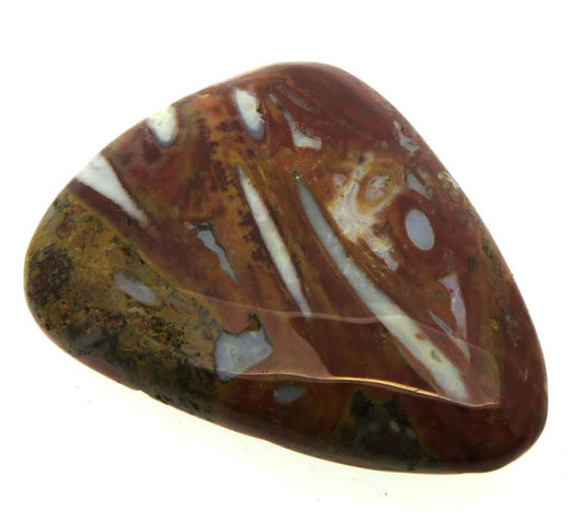 Teardrop 33x26mm Palm Agate Cabochon 06
