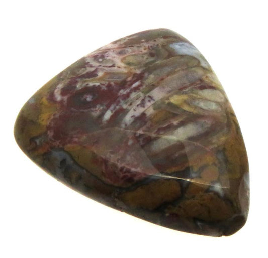 Teardrop 30x25mm Palm Agate Cabochon 08