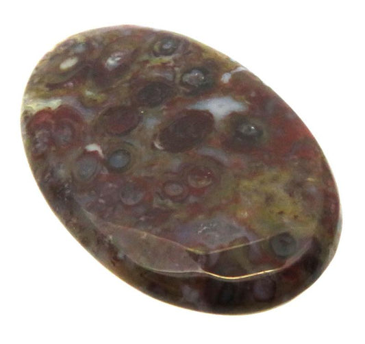 Oval 36x23mm Palm Agate Cabochon 09