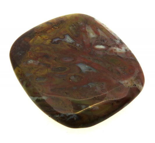 Rectangle 27x23mm Palm Agate Cabochon 14