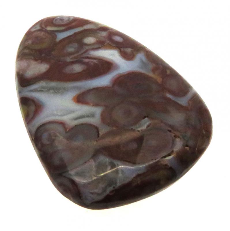 Teardrop 30x22mm Palm Agate Cabochon 15