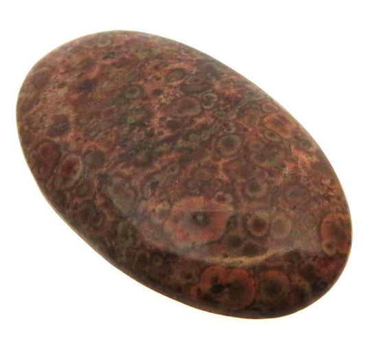 Oval 38x22mm Poppy Jasper Cabochon 17