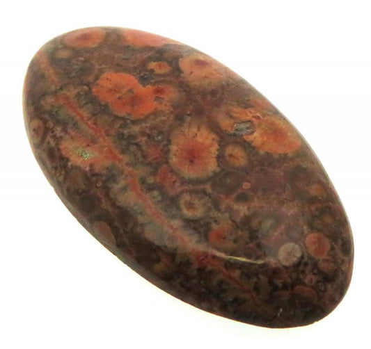 Oval 42x22mm Poppy Jasper Cabochon 20