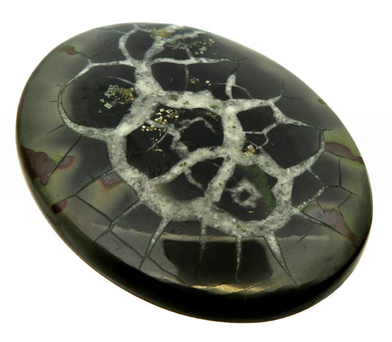 Oval 54x40mm Septarian Cabochon 07