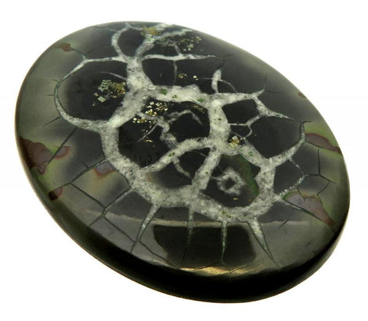 Oval 54x40mm Septarian Cabochon 07