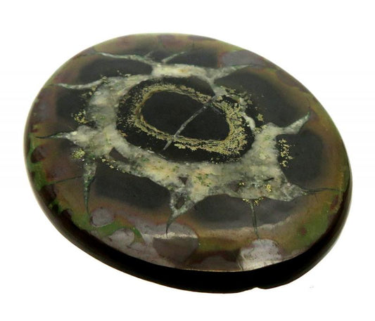 Oval 50x42mm Septarian Cabochon 10