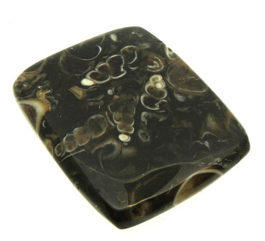 Rectangle 27x22mm Turritella Agate Cabochon 20
