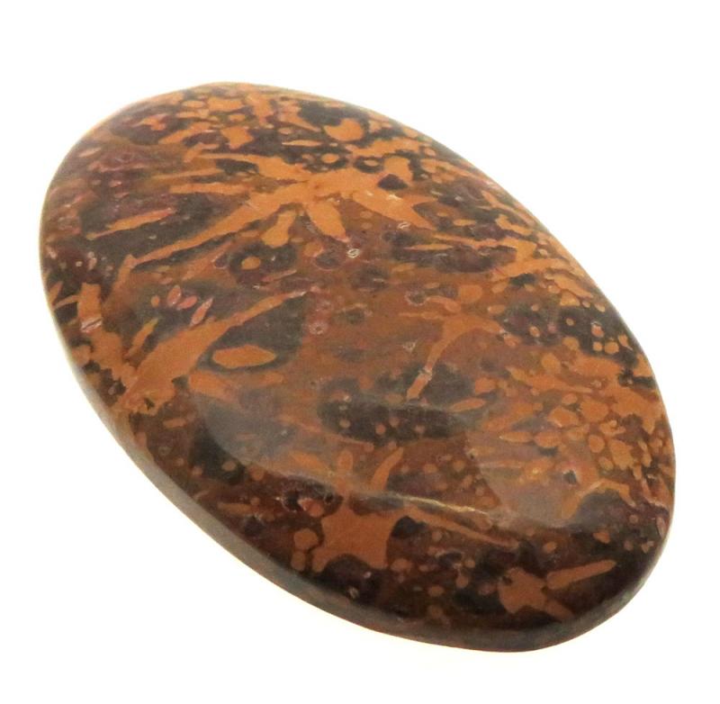 Oval 42x25mm Firework Jasper Cabochon 20