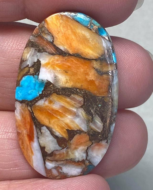Oval 37x22mm Spiny Oyster Turquoise Cabochon 26