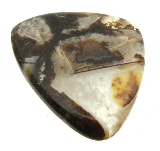 Freeform 38x31mm Wild Horse Jasper Cabochon 03
