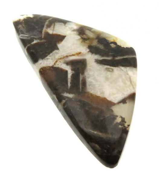 Freeform 48x24mm Wild Horse Jasper Cabochon 08