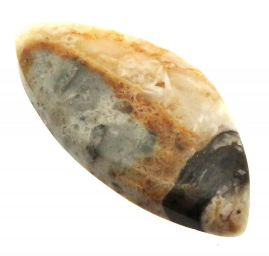 Freeform 41x20mm Wild Horse Jasper Cabochon 09