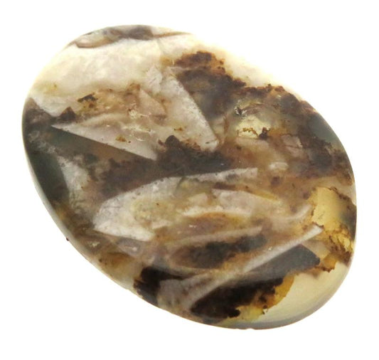 Oval 39x27mm Wild Horse Jasper Cabochon 21