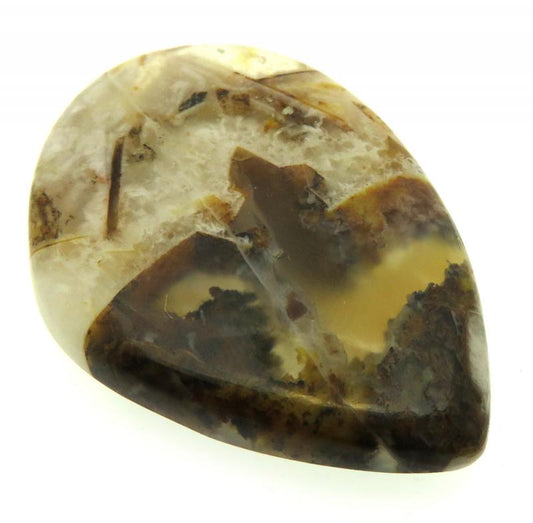 Freeform 37x25mm Wild Horse Jasper Cabochon 23