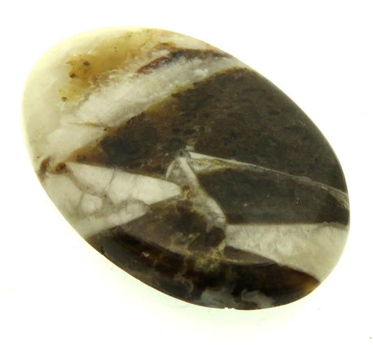 Oval 37x24mm Wild Horse Jasper Cabochon 24
