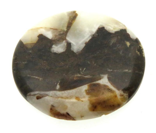 Round 36x36mm Wild Horse Jasper Cabochon 25