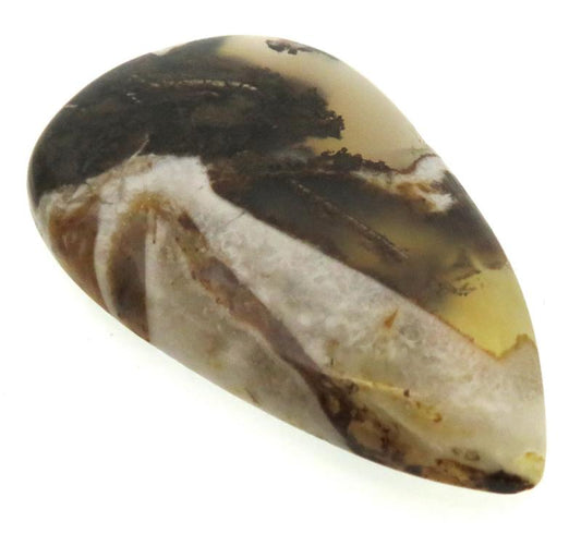Teardrop 45x26mm Wild Horse Jasper Cabochon 29