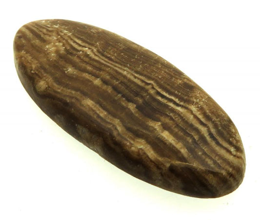 Oval 50x22mm Aragonite Cabochon 19