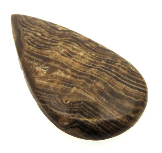 Teardrop 55x29mm Aragonite Cabochon 23