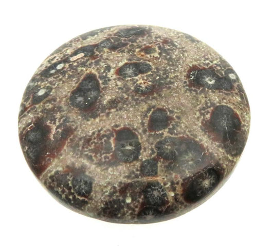 Round 36x36mm Viper Jasper Cabochon 01