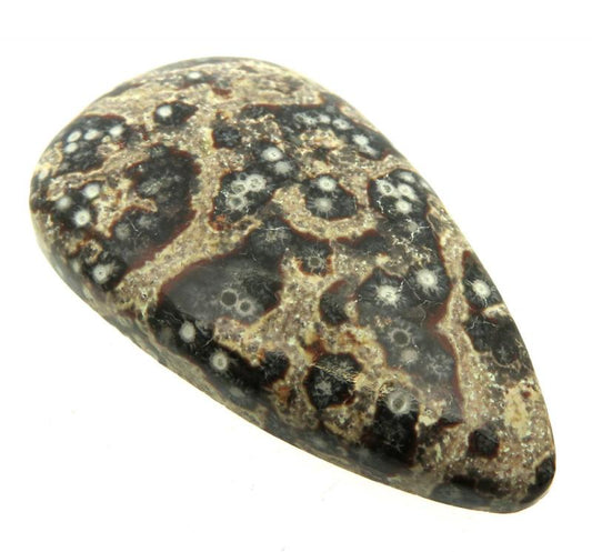 Teardrop 41x24mm Viper Jasper Cabochon 06