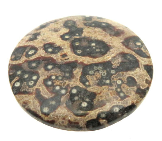 Round 39x39mm Viper Jasper Cabochon 10