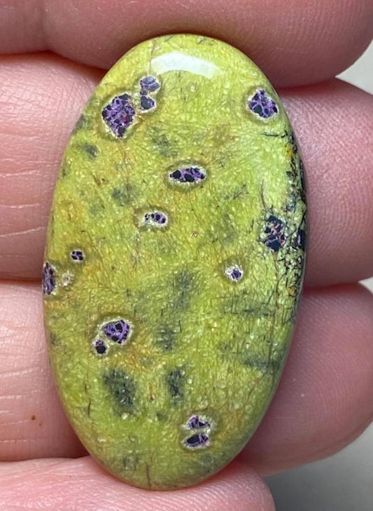 Oval 33x19mm Atlantasite Cabochon 12