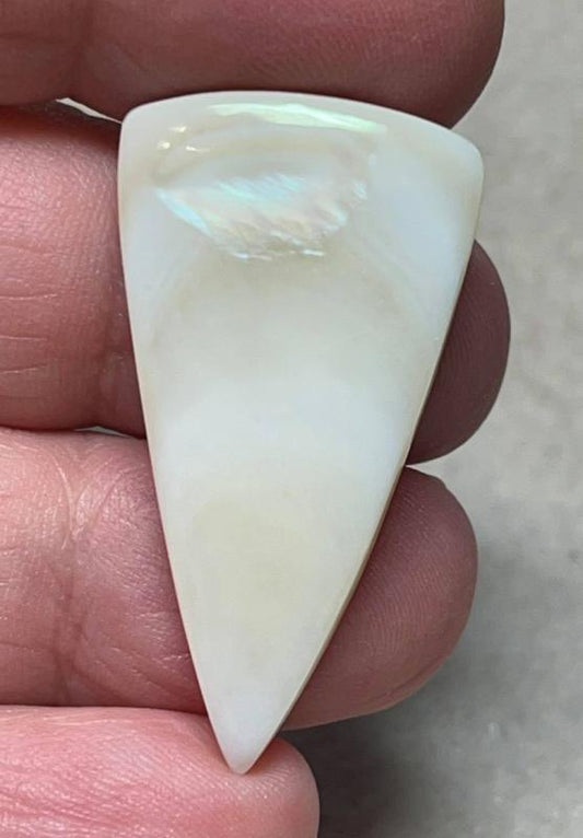 Freeform 38x20mm Mother of Pearl Cabochon 20