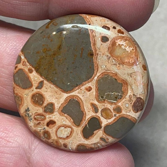 Round 32x32mm Leopardite Jasper Cabochon 04