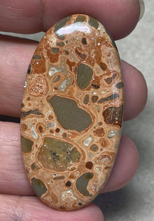 Oval 49x25mm Leopardite Jasper Cabochon 13