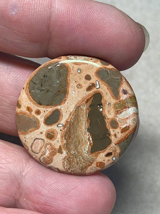 Round 31x31mm Leopardite Jasper Cabochon 18