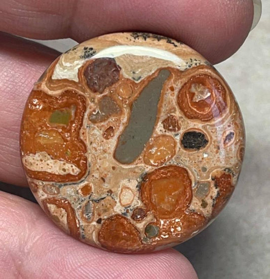 Round 30x30mm Leopardite Jasper Cabochon 20