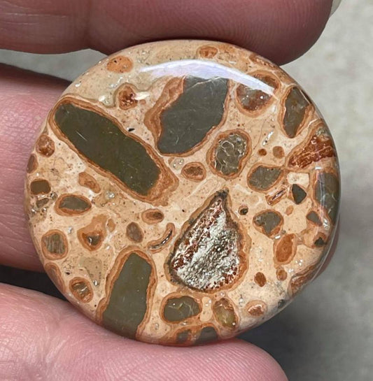 Round 31x31mm Leopardite Jasper Cabochon 22
