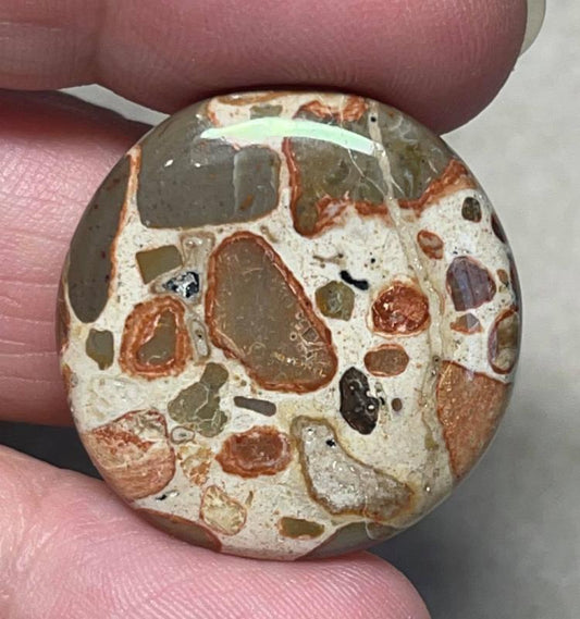Round 27x27mm Leopardite Jasper Cabochon 26