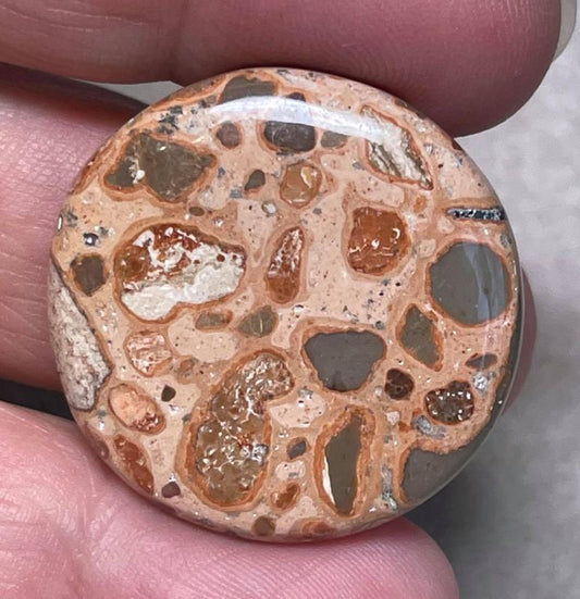 Round 30x30mm Leopardite Jasper Cabochon 29